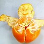 Image result for A Packet of Oranges Funny