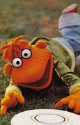 Image result for Scooter Muppet without Glasses