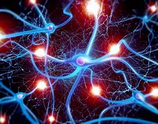 Image result for Real Life Neuron