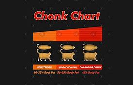 Image result for Cat Chonker Scale
