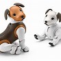Image result for Aibo Robot Dog Used