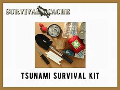 Image result for Tsunami Survival Kit