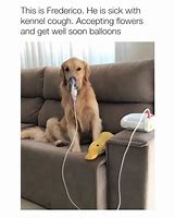 Image result for Well Done Animal Meme
