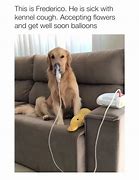 Image result for Get Well Dog Meme