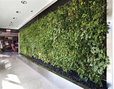 Image result for Living Green Wall