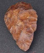 Image result for Homo Erectus Stone Tools