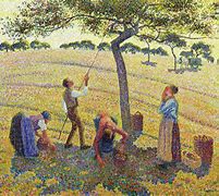 Image result for Camille Pissarro Apple Harvest