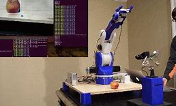 Image result for Computer Vison Controlled Robotic Avarters