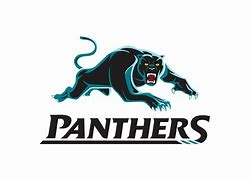 Image result for Penrith Panthers Logo