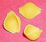 Image result for Shell Agihis Shell