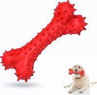 Image result for Hard Dog Chew Toys