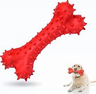 Image result for Rubber Chew Toys