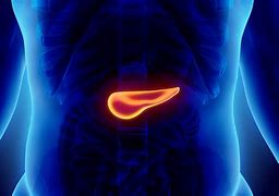 Image result for Peri Pancreatic Cancer