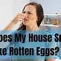 Image result for Rotten Egg Smell Gas