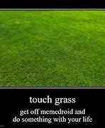 Image result for Touch the Grass Meme