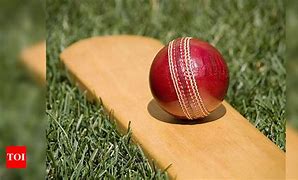 Image result for English County Cricket
