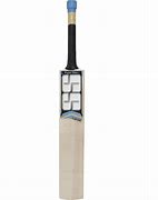 Image result for SS Custom Bat