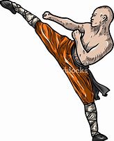Image result for Kung Fu Fighter Art