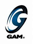 Image result for Gam eSports Images 4K