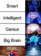 Image result for Big Smart Brain Meme