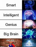 Image result for Points to Brain Meme