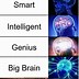 Image result for Brain 100 Meme