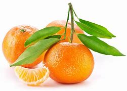 Image result for Fruit Photography White Background