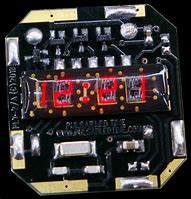 Image result for Red LED Watch Module