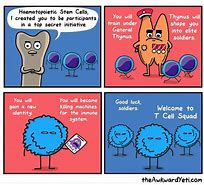 Image result for T-cell Meme