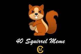 Image result for Squirrel Stump Meme