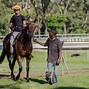 Image result for Race Horse Images