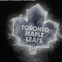 Image result for Toronto Maple Leafs Chuihuau Images
