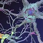 Image result for Brain Image Neurons Connected