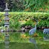 Image result for Japanese Pond Drawing4