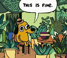 Image result for This Is Fine Gig Gulf Covers It Dog Meme
