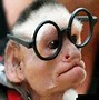 Image result for Human That Looks Like Rat