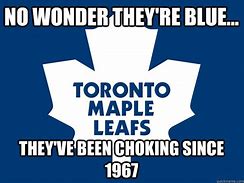 Image result for Leafs Lightning Funny