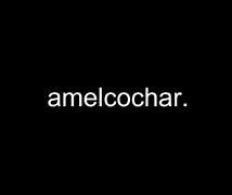 Image result for amelcochar