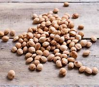 Image result for Cherry Tree Seeds