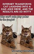 Image result for Cat Dad Jokes