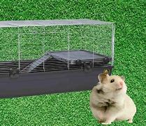 Image result for Giant Hamster Cage