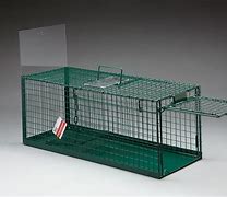Image result for Sao Cat Trap