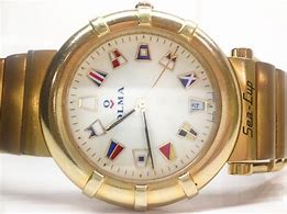 Image result for Invicta Speedway Gold Watch