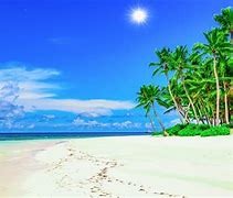 Image result for Warm Beach Scenes