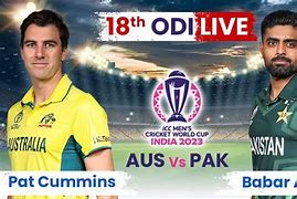 Image result for Australia vs Pakistan Cricket