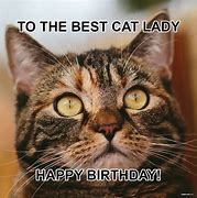 Image result for Happy Birthday to Cat Memes