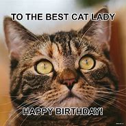 Image result for 40th Cat Birthday Meme