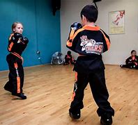 Image result for High School Martial Arts