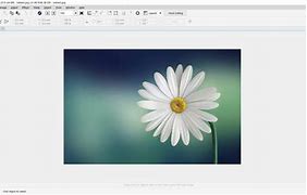 Image result for Corel Photo Paint 4