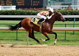 Image result for Dramatic Horse Racing Wallpaper